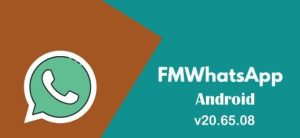 Download FM WhatsApp Today: The Ultimate Guide